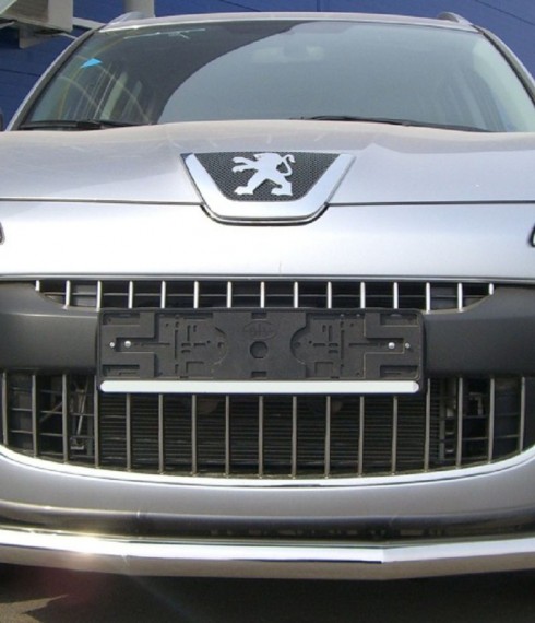Труба одинарная на Peugeot 4007  фото