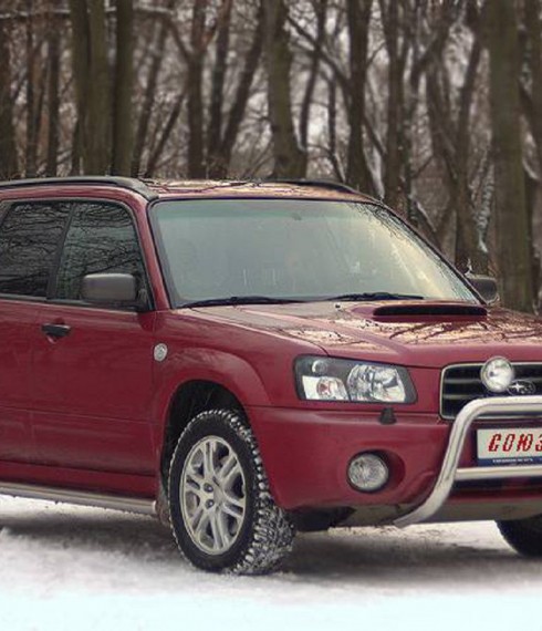 Пороги труба с проступью на Subaru Forester фото