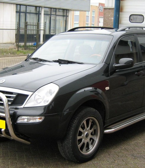 Пороги с листом (площадка) на SsangYong Rexton TAMSAN фото
