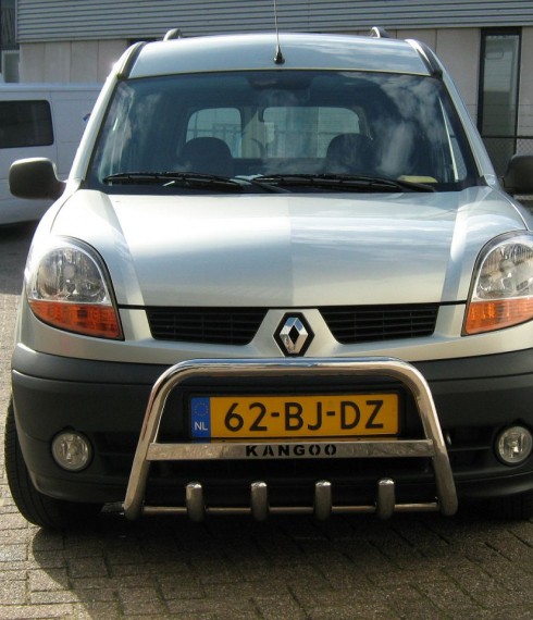 Кенгурятник низкий с грилем на Renault Kangoo TAMSAN фото