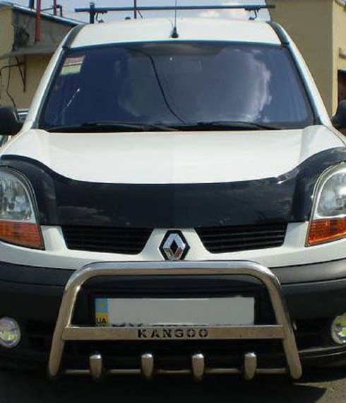 Кенгурятник низкий с грилем на Renault Kangoo TAMSAN фото