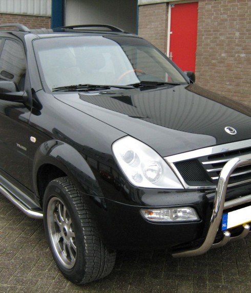 Пороги с листом (площадка) на SsangYong Rexton TAMSAN фото