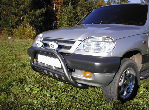 Подножки для Chevrolet Niva (порог с листом крашеный) фото