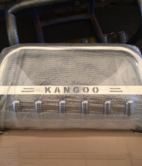 Кенгурятник низкий с грилем на Renault Kangoo TAMSAN нержавейка фото