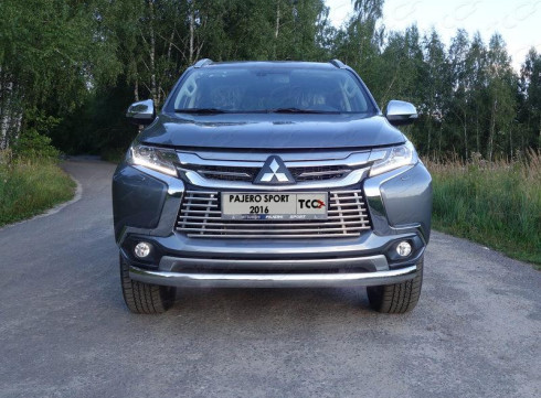 Защита переднего бампера для Mitsubishi Pajero Sport 17-19 труба одинарная от Tamsan фото