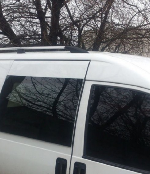Рейлинги на Peugeot Expert 1995-2007 Can Coruma фото