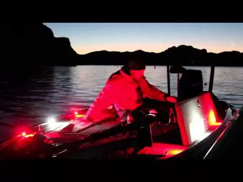 LED свет A-Series Red Rigid фото