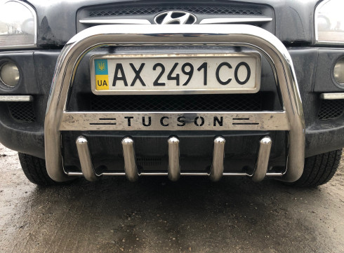 Кенгурятник для Hyundai Tucson 04-11 от Tamsan фото