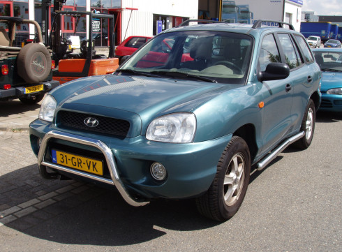 Подножки для Hyundai Santa-Fe 01-05 порог трубой Tamsan фото