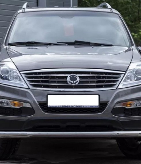 Труба одинарная на SsangYong Rexton W фото