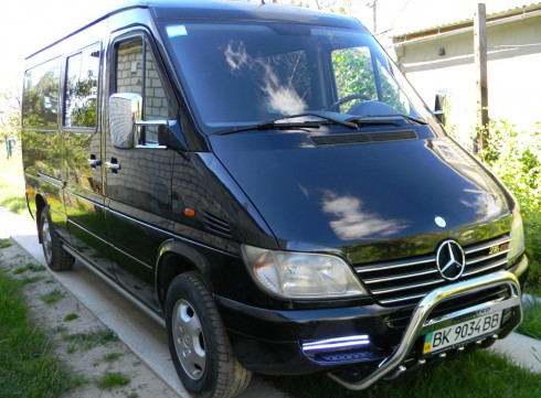 Кенгурятник для MERCEDES-BENZ SPRINTER W903 95-06 от Tamsan фото