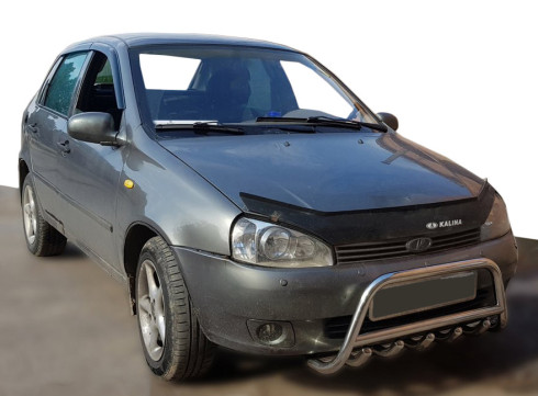 Кенгурятник для LADA Kalina от Tamsan фото